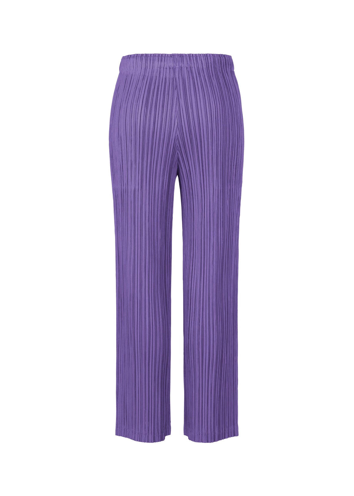 A detail shot of the PLEATS PLEASE ISSEY MIYAKE THICKER BOTTOMS 1 clothing.