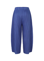 A detail shot of the PLEATS PLEASE ISSEY MIYAKE COAST trousers.