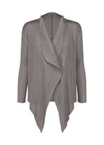 A product shot of the PLEATS PLEASE ISSEY MIYAKE MONTHLY COLORS JANUARY clothing in grey (12).