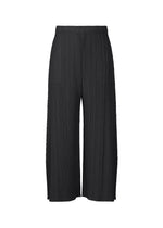A product shot of the PLEATS PLEASE ISSEY MIYAKE MONTHLY COLORS : JULY trousers in black.