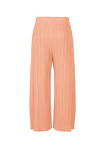 A detail shot of the PLEATS PLEASE ISSEY MIYAKE MONTHLY COLORS : JULY trousers.