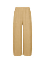 A product shot of the PLEATS PLEASE ISSEY MIYAKE MONTHLY COLORS : OCTOBER trousers in ash beige.