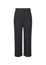 A product shot of the PLEATS PLEASE ISSEY MIYAKE THICKER BOTTOMS 1 trousers in black.