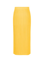 A detail shot of the PLEATS PLEASE ISSEY MIYAKE THICKER BOTTOMS 1 skirt.